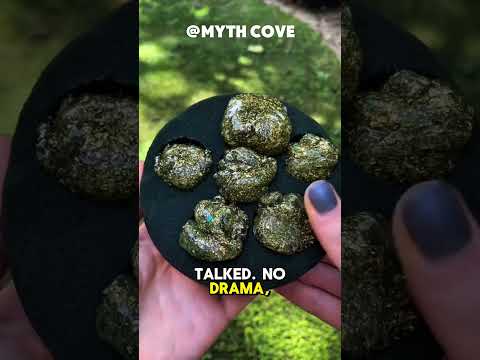 Have You Ever Fallen in Love with the Same Person Twice? #redditstories #reddit #redditstory #shorts