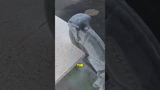 He Built New Steps From Old Tiles