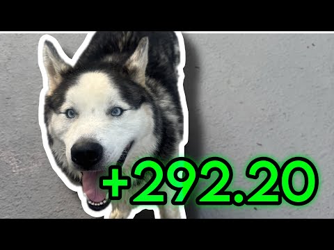 We Made $292.20 Day Trading Futures 🤑