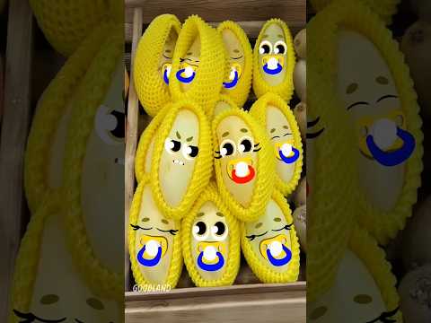 Goodland | Mango 😋babies #goodland #shorts #doodles #doodlesart