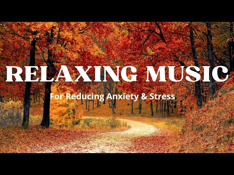 Relaxing Music, Stress Relief Music, Deep Sleep Music, Meditation Music, Study Music, Calming Music