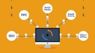 Website Design and Development Process