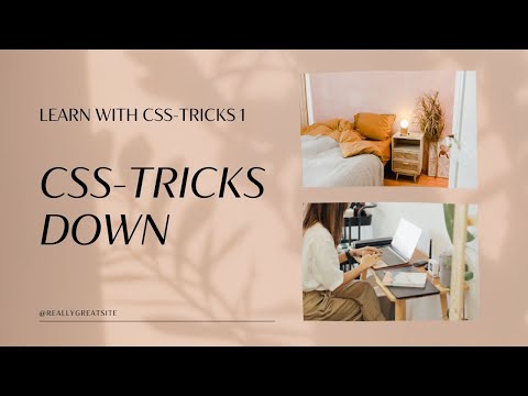 Kanyarat Kornsri | Learn with Css - Tricks | Css - Tricks down