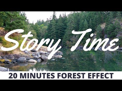 Story Time Forest | 20 Minute Backdrop Video Effect