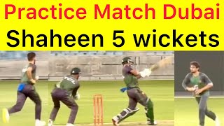 Shaheen 5 wickets 🛑Pakistan 1st Practice match FULL highlights | Hasan Nawaz hits another 50