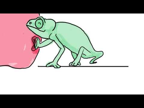 3D Animated - Critter
