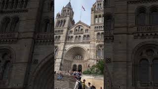 The National history museum#london#visit #viralvideo #viralreels