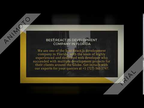Best React js Development Company in Florida