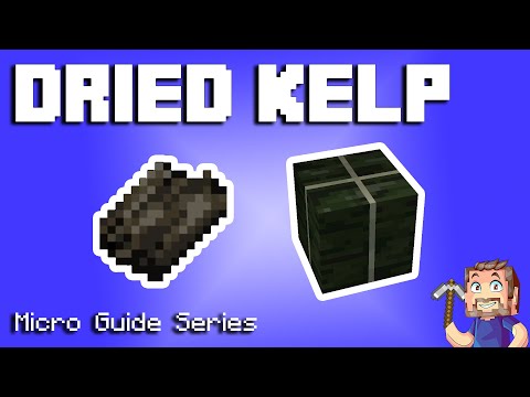 Dried Kelp - Minecraft Micro Guide
