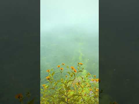 Trek | Tikona Fort | Pune #punetrek
