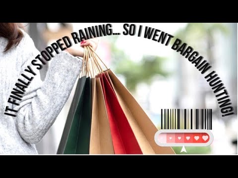 THE $20 BARGAIN HUNTING ADVENTURE