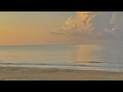 disconnect for a while.