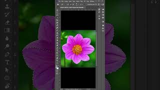 How to Use New Object Selection Tool Photoshop CC #photoshop #design