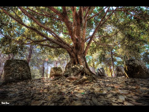 The Plain Of Jars, Laos