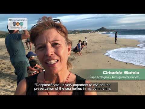Desplastificate Todos Santos y Pescadero