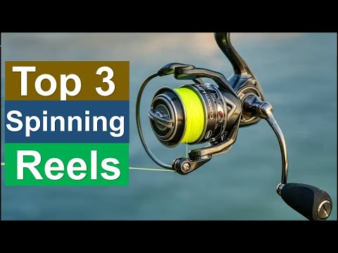 Best Spinning Reels Top 3 2025