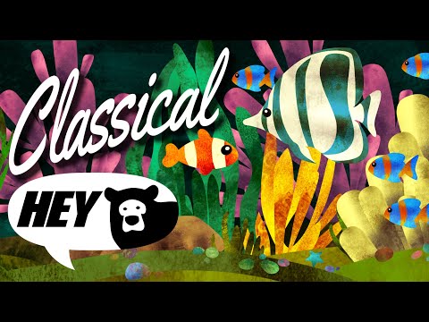 Hey Bear Sensory- Classical Lullaby Coral Reef Cam - Relaxing Video