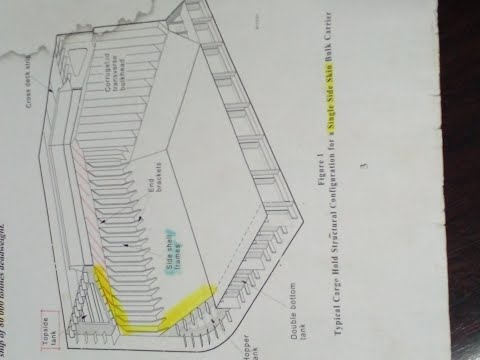 Behind the Scenes !                                      (1)How to relate a bulk carrier and grain ?