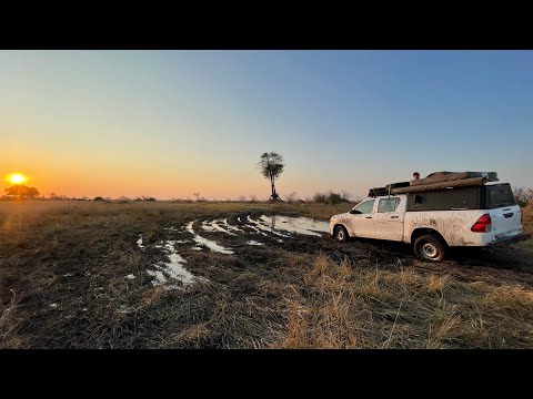 Getting stuck in the Okavango delta. Maun-Kasane pt 1