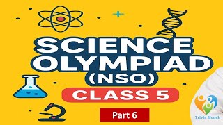 NSO | National Science Olympiad | Class 5 | 40 MCQs with Answers | SOF | Science Olympiad | Part 6