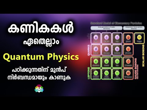 അടിസ്ഥാന കണങ്ങൾ | Elementary particles | Standard Model | Malayalam | Sahapadi Vlog