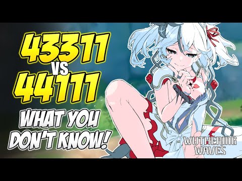 43311 vs 44111: What You Don’t Know! (READ PINNED) | Wuthering Waves