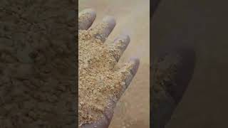 US Soybean Meal|JMarvs TV