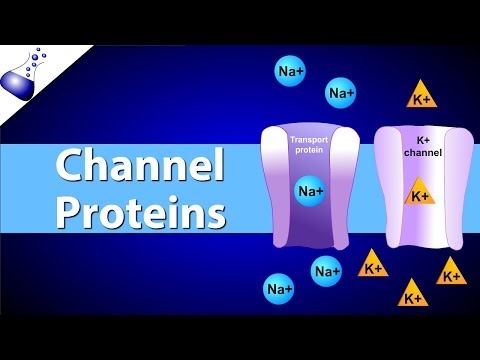 Channel Proteins