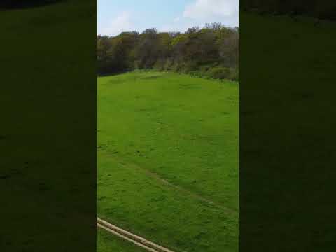 DJI Mini 2 Panshanger Park - 4K Drone Footage - 2023