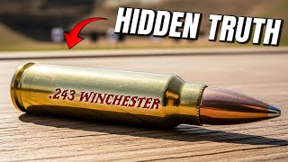 The "Dark Side" of .243 Winchester Nobody Talks About!