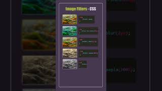 CSS Image Filter | css background filter #shorts #css  #coding #viral