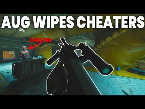 The AUG Is So Good It Wiped a Cheater for Millions in Loot | Arena Breakout Infinite