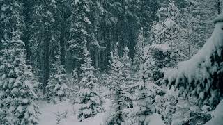 VJ Loops - Snow Falling Motion Graphics After Effect/Screensaver 4K/Wallpaper Engine/LED SCREEN