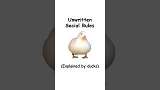 Unwritten social rules (explained by ducks)
