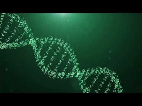 See the Numbers (60fps @ 8K)