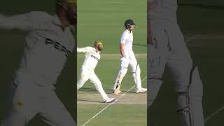 De Zorzi’s Power + Pakistan’s Error = 11 Runs in 2 Balls! #sportstv #PAKvSA #cricket | M3U1U