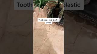 Say bye to plastic toothpaste tubes for good #Shorts