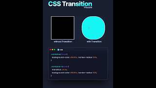 CSS transition visuals 💡 #coding #css #csstransition #programming #transition #webdevelopment