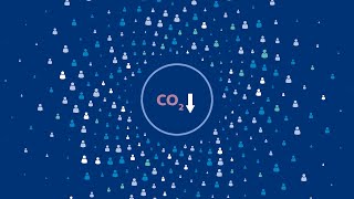 What does it take to realize sustainable healthcare?
