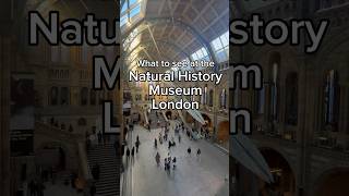Unusual things to see at the Natural History Museum London