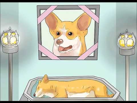 "How Much Is That Doggie In The Casket" by Meyer & Drake