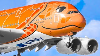 ✈️ COLOURFUL & BEST SPECIAL LIVERIED PLANES Taking Off & Landing Plane Spotting Compilation 🌎