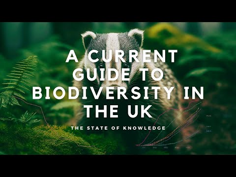 Here is what the recent report on nature in the UK is telling us...