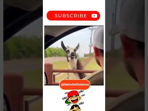 Funny Conversation #ytshorts #shorts