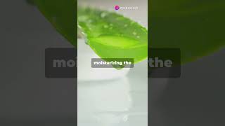 Aloe Vera: Nature's Healing Power! #digestiveaid