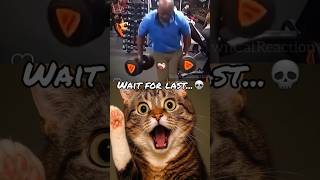 bro's ego 😈 #technologia #cat #meme #funny