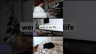 week in my life as a graphic designer! #graphicdesign #graphicinspiration #weekinmylife