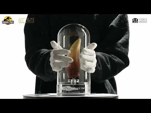 ECC SCREEN USED T-REX FOOT CLAW & TOOTH REPRODUCTION UNBOXING!