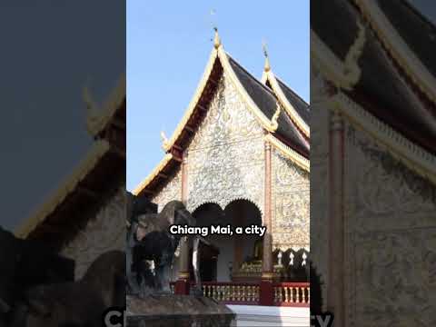 🌴 Thailand's Best Kept Secrets: Top 5 Must-Visit Spots! 🇹🇭 #thailandtravel #shorts #thailand