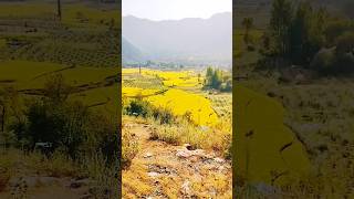 Exploring the Beauty of Nature #funny #ecoadventures #prismlivestudio #trending #beauty #india